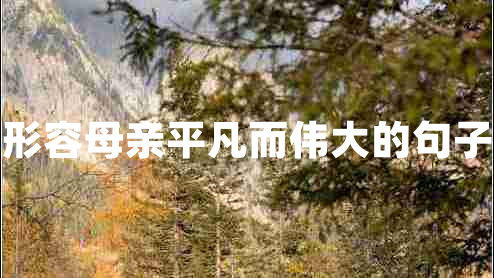 形容母亲平凡而伟大的句子