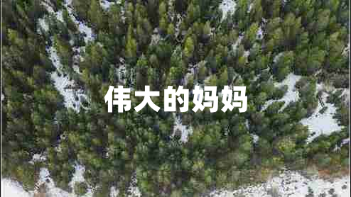 伟大的妈妈