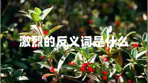 激烈的反义词是什么