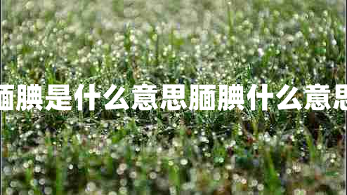 腼腆是什么意思腼腆什么意思 腼腆是什么意思腼腆什么意思