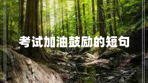 考试加油鼓励的短句