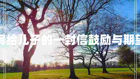 写给儿子的一封信鼓励与期望