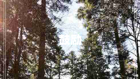 鼓励