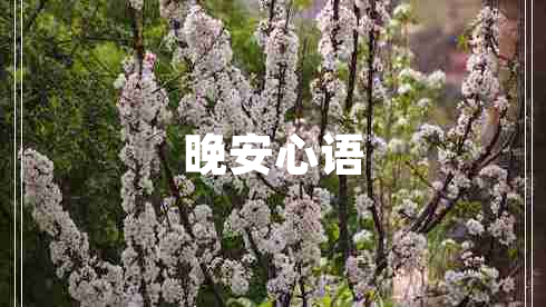 晚安心语