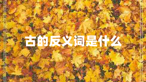 古的反义词是什么