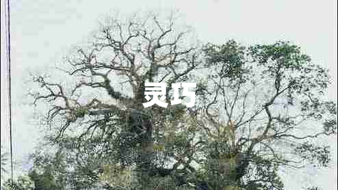 灵巧