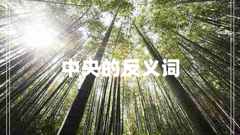 中央的反义词