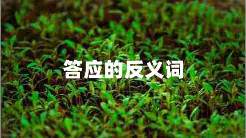 答应的反义词