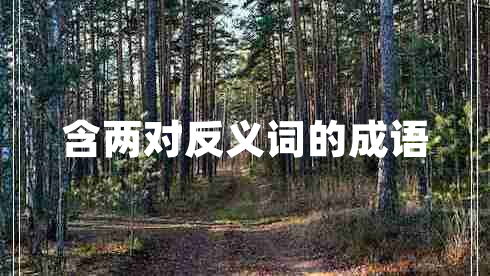 含两对反义词的成语