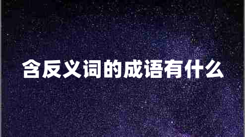 含反义词的成语有什么