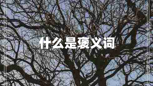 什么是褒义词