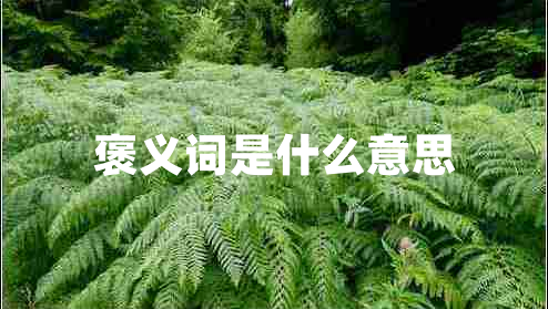 褒义词是什么意思