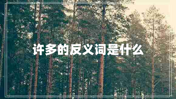 许多的反义词是什么