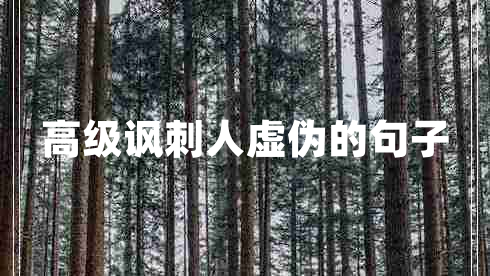 高级讽刺人虚伪的句子