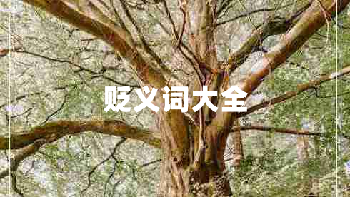 贬义词大全