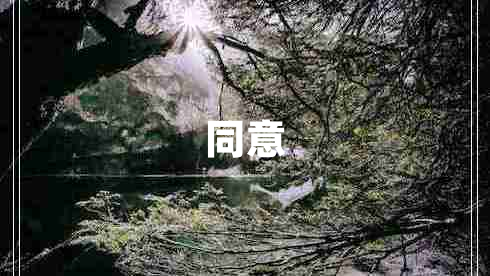 同意