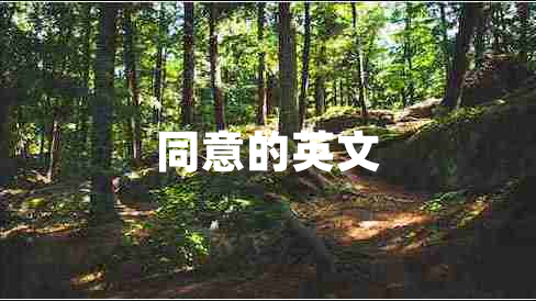 同意的英文
