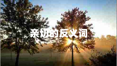 亲切的反义词