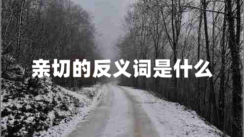 亲切的反义词是什么