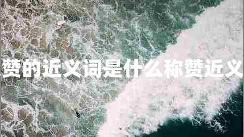 称赞的近义词是什么称赞近义词