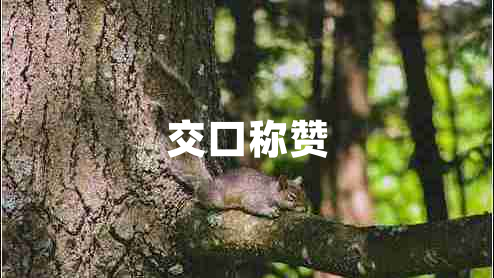 交口称赞