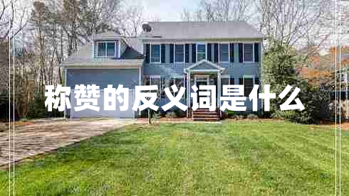 称赞的反义词是什么