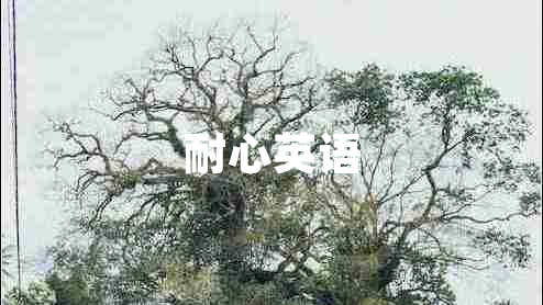 耐心英语