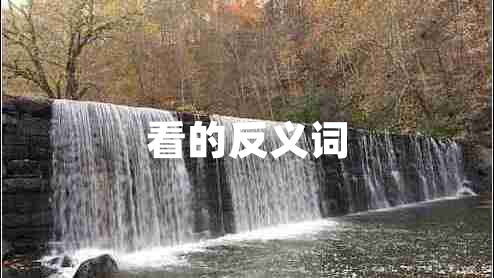 看的反义词
