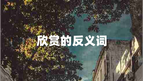 欣赏的反义词