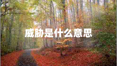 威胁是什么意思