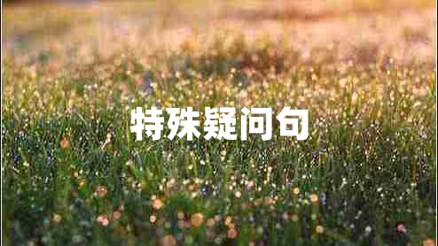 特殊疑问句