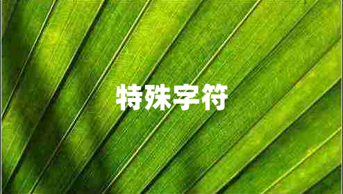特殊字符