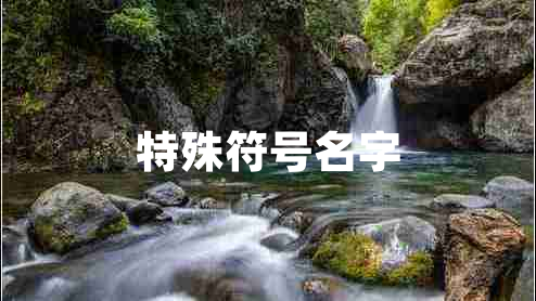 特殊符号名字