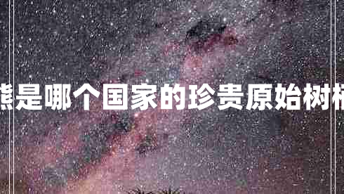 树袋熊是哪个国家的珍贵原始树栖动物