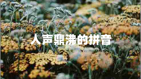 人声鼎沸的拼音