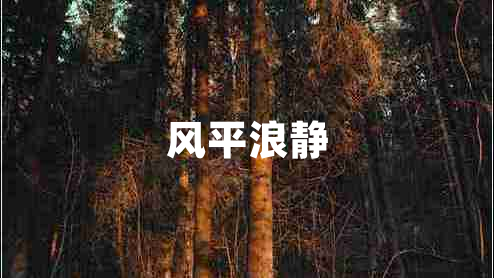 风平浪静