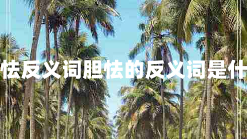 胆怯反义词胆怯的反义词是什么