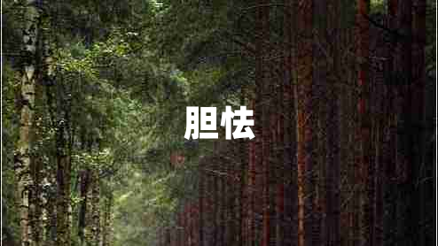 胆怯