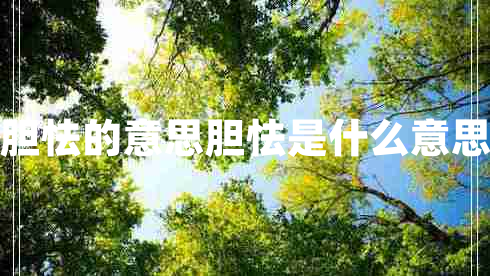 胆怯的意思胆怯是什么意思