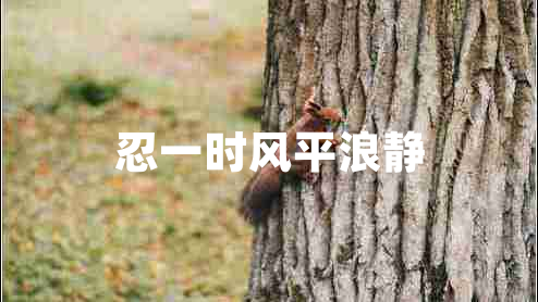 忍一时风平浪静