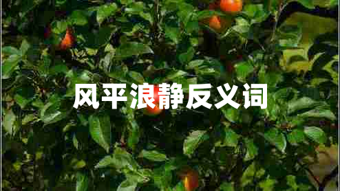 风平浪静反义词