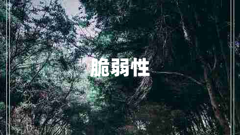 脆弱性