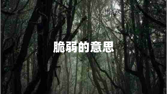 脆弱的意思