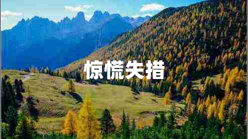惊慌失措