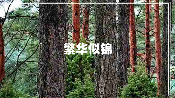 繁华似锦