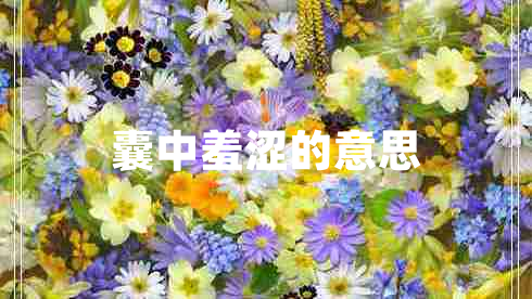 囊中羞涩的意思