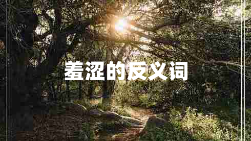 羞涩的反义词