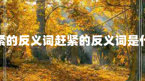 赶紧的反义词赶紧的反义词是什么