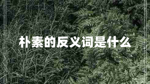 朴素的反义词是什么