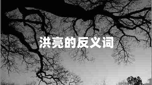 洪亮的反义词